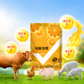 Bột Điện Giải Đa Vitamin Cho Gia Súc Gia Cầm 500g – Bổ Sung Vitamin A, D3, E, B1 & Glucose brand.pethealer